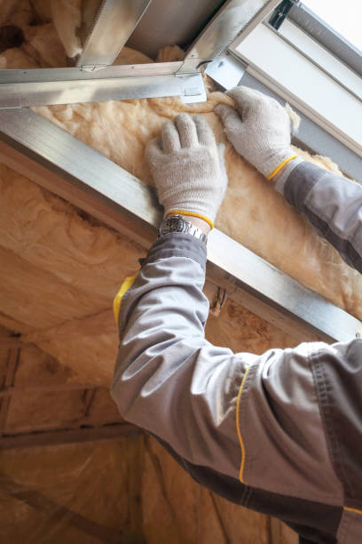 Best Insulation Maintenance and Repair in Vine Hill, CA